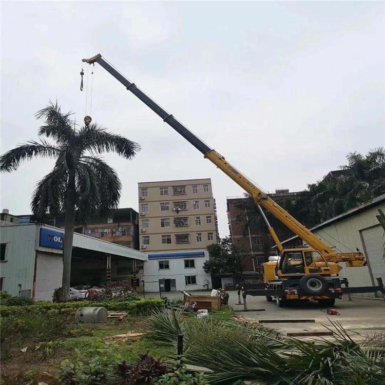 沉湖管委会汽车吊出租多少钱？全面解析与市场行情