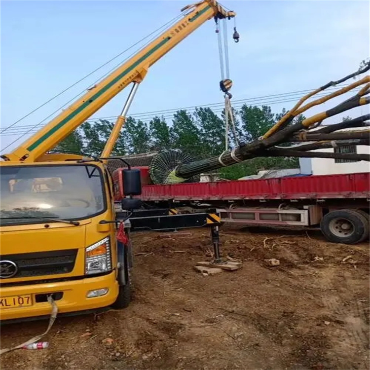 沉湖管委会100吨吊车租赁费用怎么算？3大关键因素+省钱技巧全解析